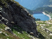 57 con vista in Fregabolgia...